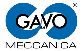 Гаво Механика